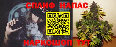 Альфа ПВП Гусев