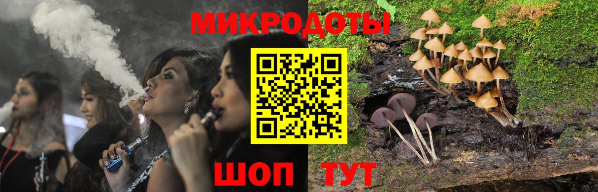 Галлюциногенные грибы прущие грибы  где продают наркотики  Вологда  Вход с VPN 